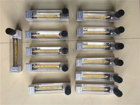 DK800-6F玻璃轉(zhuǎn)子流量計
